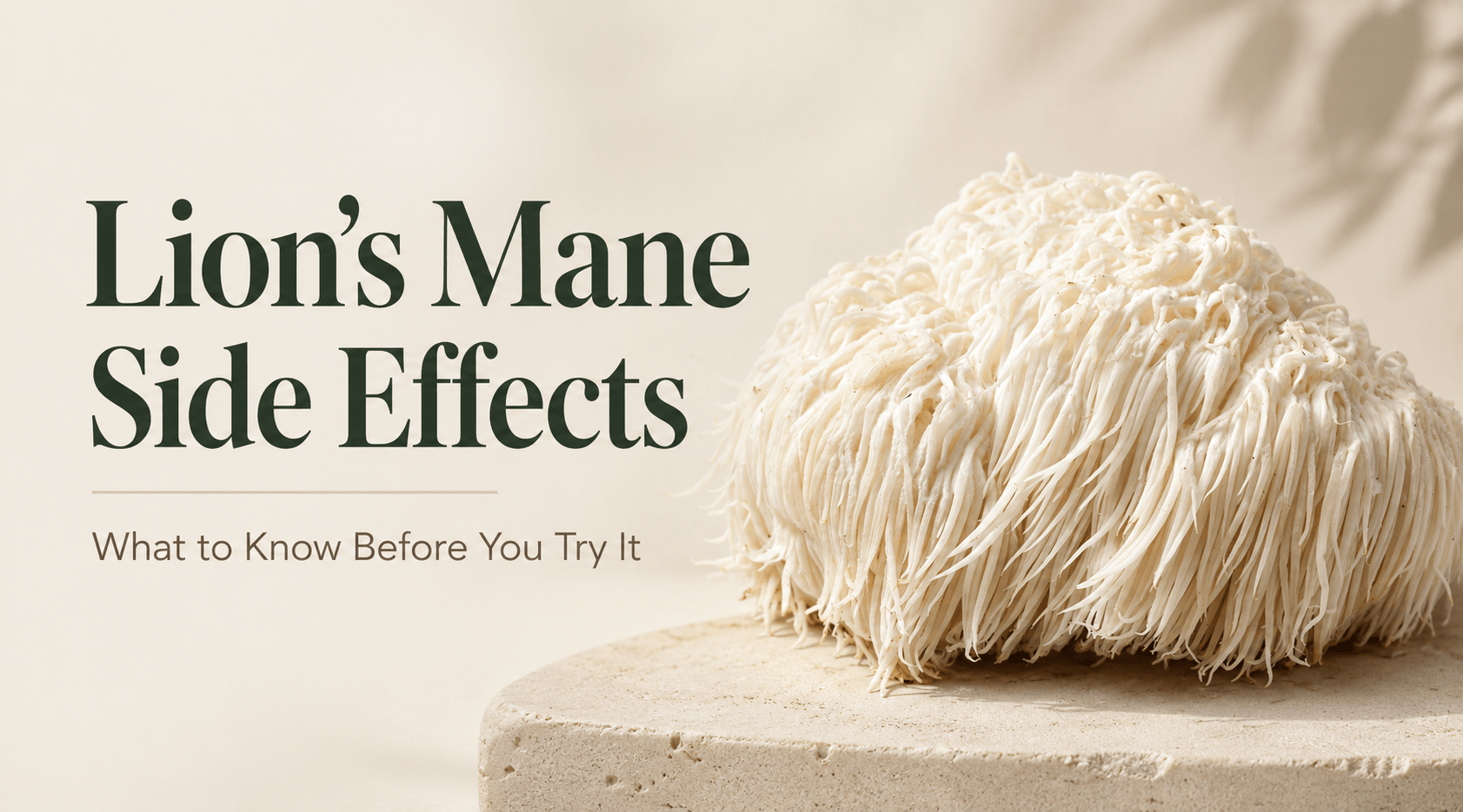 Lion s Mane Side Effects 2026 Safety Guide Superfood Science