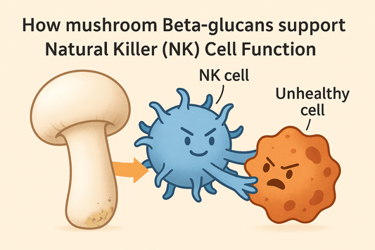 Beta Glucans Support NK Cell Function