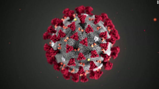 superfood science corona virus treatment recovery immune what to do