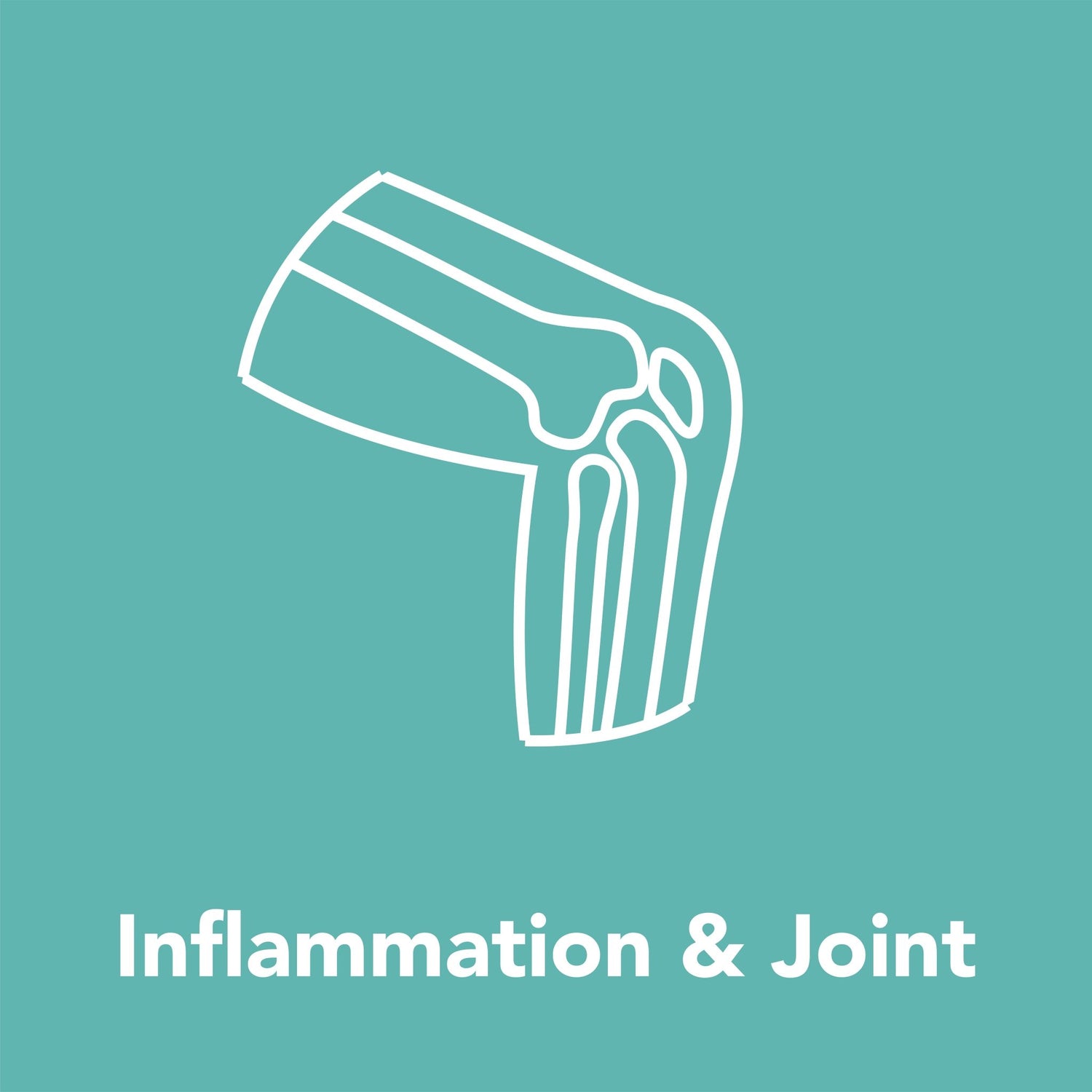 Inflammation & Joint