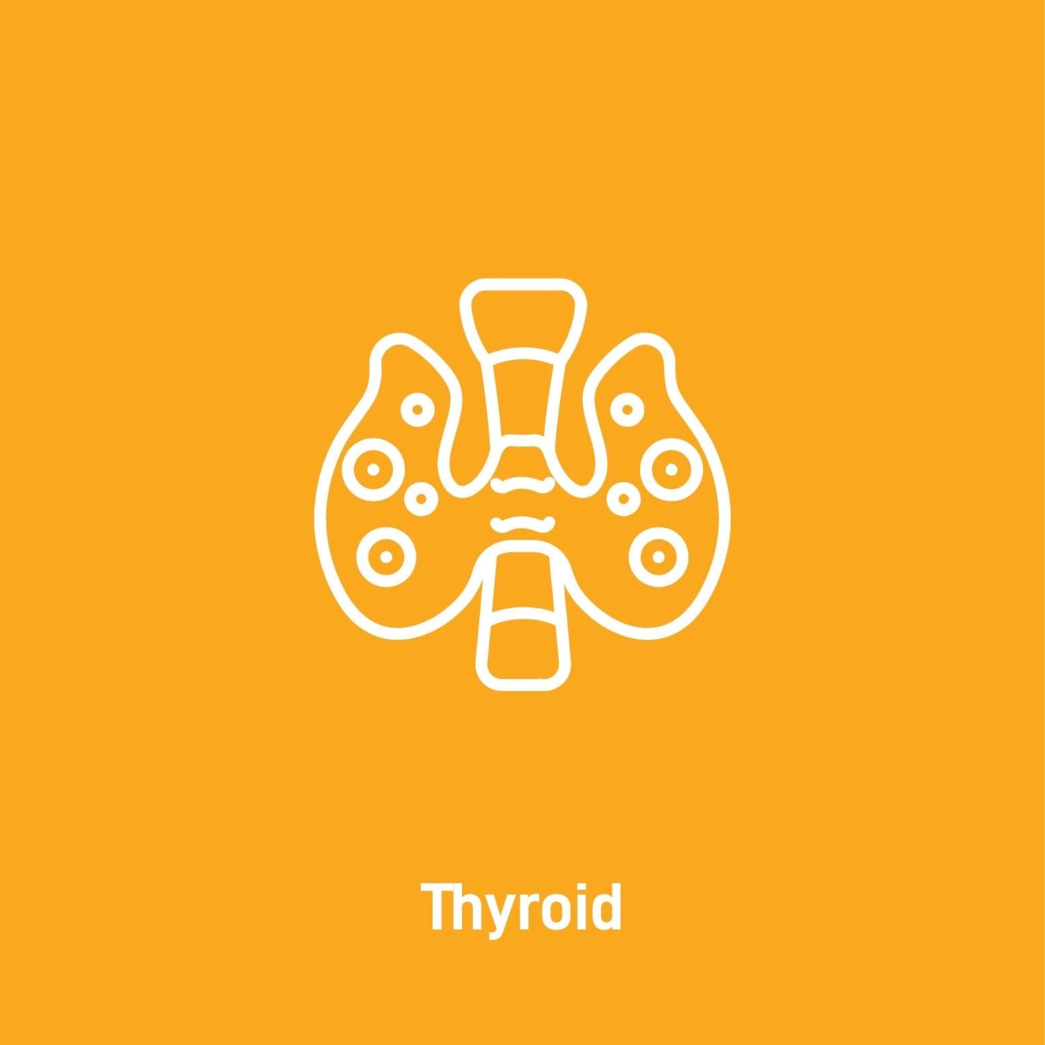 Thyroid Health - Superfood Science