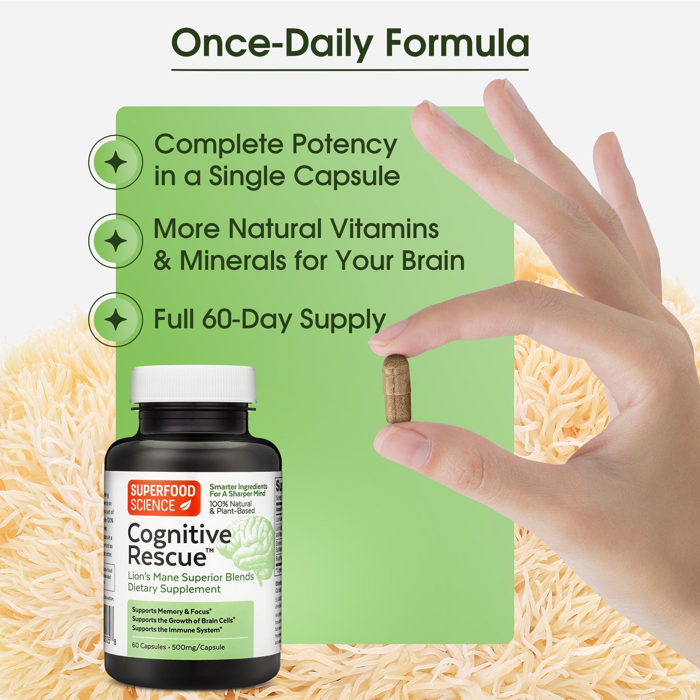 Cognitive Rescue™ Lion's Mane and Vitamin B Complex Supplement