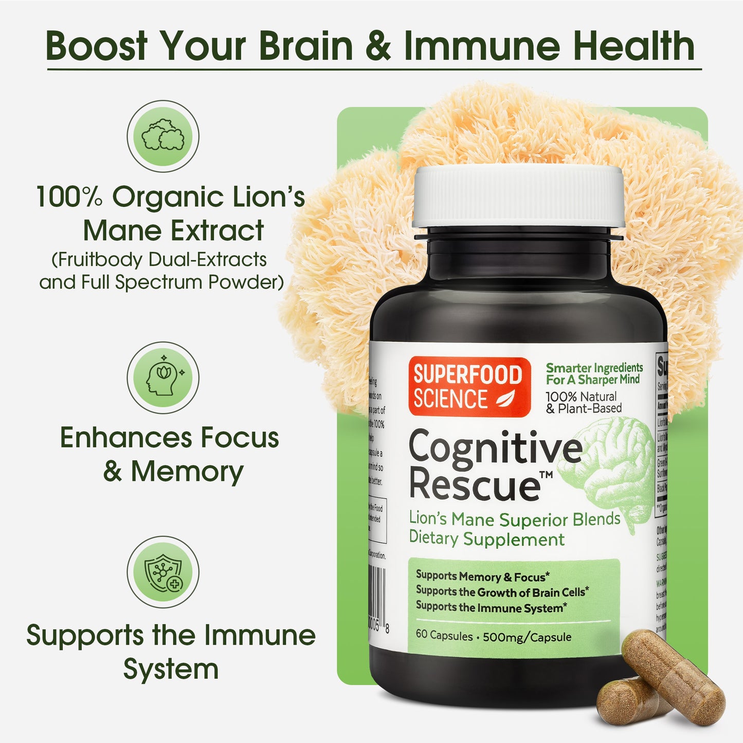 Cognitive Rescue™ Lion's Mane and Vitamin B Complex Supplement