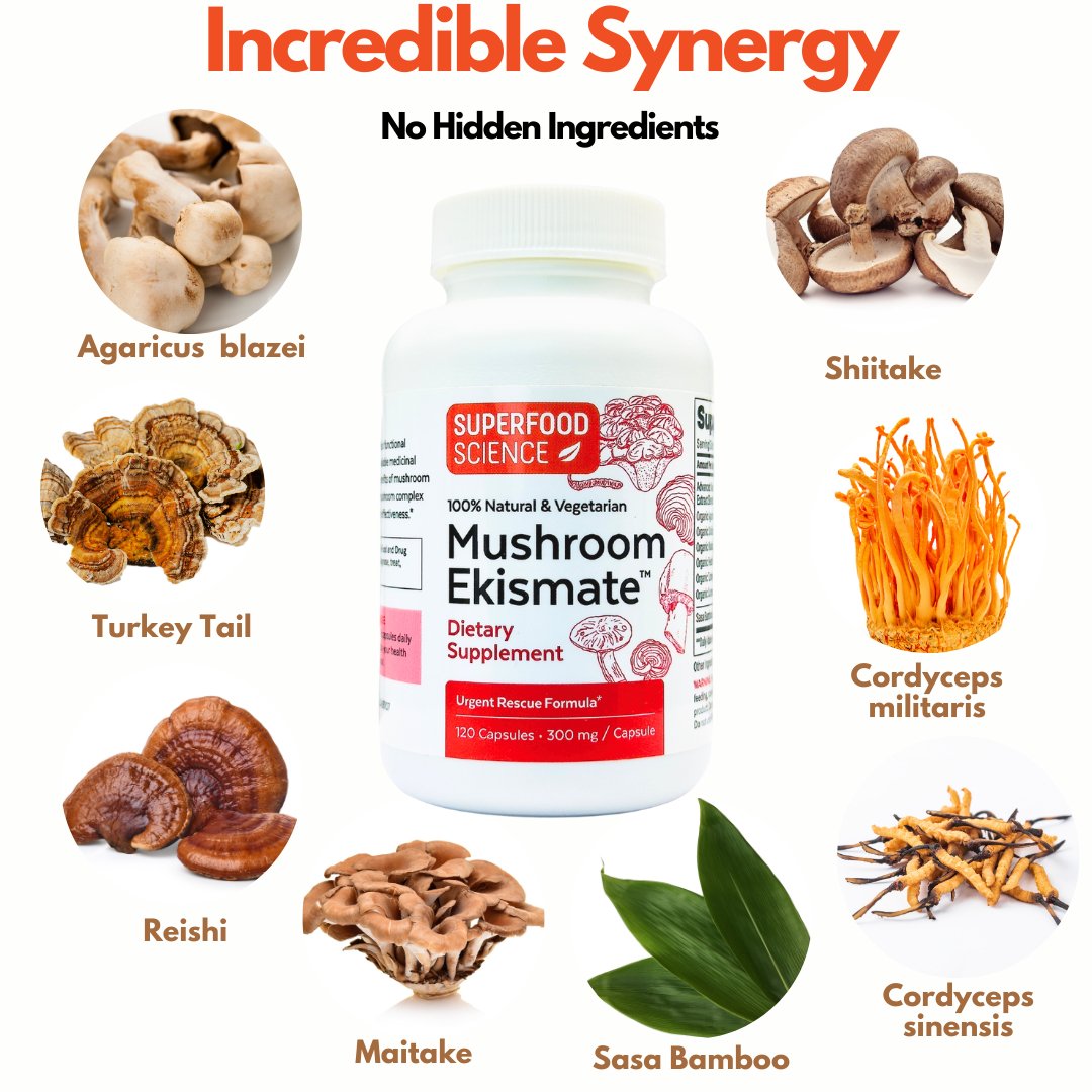 Mushroom Ekismate - Potent Mushroom Complex Formula - Superfood Science