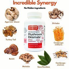 Mushroom Ekismate: Your New Secret Weapon to Restore Your Health Naturally