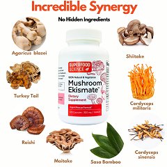 Mushroom Ekismate: Your New Secret Weapon to Restore Your Health Naturally