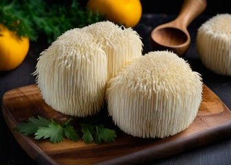 Can Lion’s Mane Help with Brain Aging? | Neuroprotection Mushroom Benefits