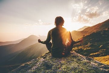 The Adaptogenic Power of Mushrooms: Managing Stress with Lion's Mane and Agaricus blazei