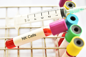 NK Cells