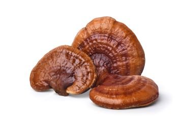 Reishi Mushroom (Ganoderma lucidum): Benefits and Warnings