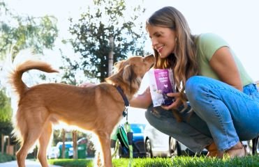Essential Reading for Dog Parents