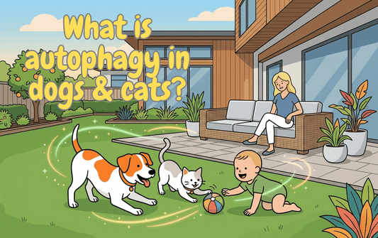 Autophage for longevity - Cartoon of a smiling mother watching a baby, dog, and cat play in a backyard.