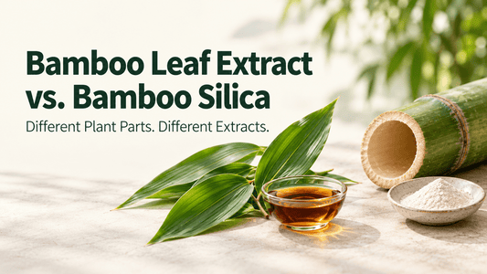 Bamboo leaves beside amber leaf extract, with a hollow bamboo stem and pale silica powder illustrating bamboo leaf extract versus bamboo silica.