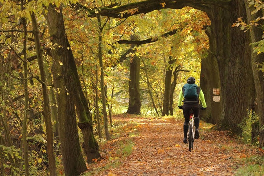 Increase Adiponectin Naturally: Diet, Exercise & Agaricus blazei Murill