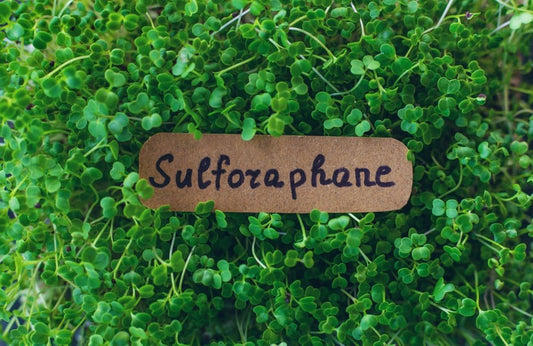 Beautiful Broccoli Sprouts & Sulforaphane image
