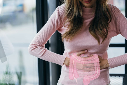 Gut Health Supplements