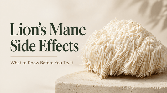 Hero image for Lion’s Mane side effects blog featuring a fresh Lion’s Mane mushroom with the headline “Lion’s Mane Side Effects: What to Know Before You Try It.”