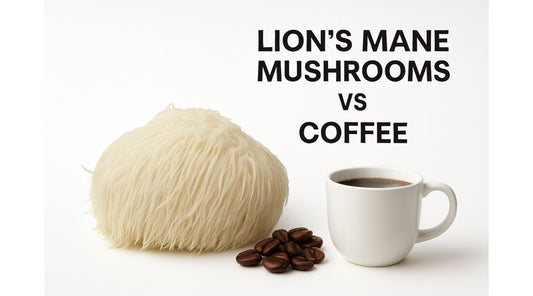 A fresh shaggy Lion's Mane mushroom sits next to a pile of roasted coffee beans and a cup of coffee