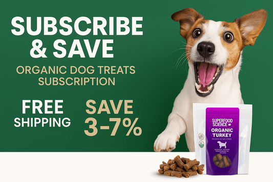 Where to Find the Best Organic Dog Treat Subscription Service