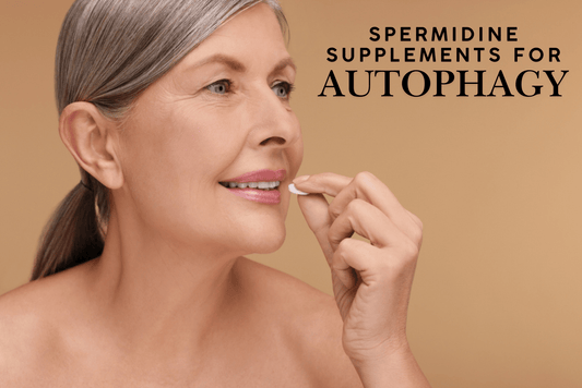 A close-up profile of an older beautiful woman with grey hair, holding a white pill to her mouth and smiling. The text 'SPERMIDINE SUPPLEMENTS FOR AUTOPHAGY' is overlaid in the upper right.