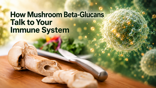 Agaricus blazei mushroom and slices beside an immune cell illustration, with the heading How Mushroom Beta-Glucans Talk to Your Immune System.