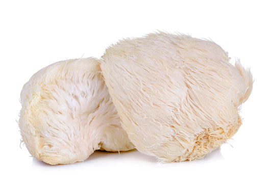 superfood science cognitive rescue Lion's Mane Mushroom Supplement Natural Nootropics Improve Cognitive Function Enhancement Brain Boosting Neurological Health
