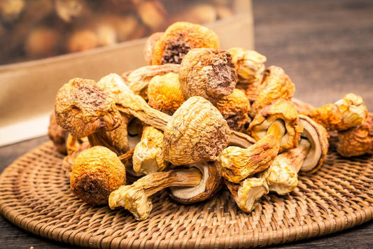 superfood science agaricus blazei mushroom help immune system on plate 