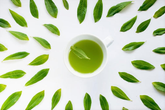 superfood science matcha green tea benefits and uses of ceremonial Japanese drink