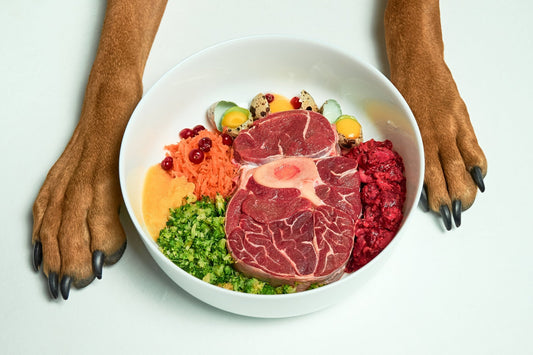 superfood science the value of organic treats for your dogs bowl full or proteins and vegetables