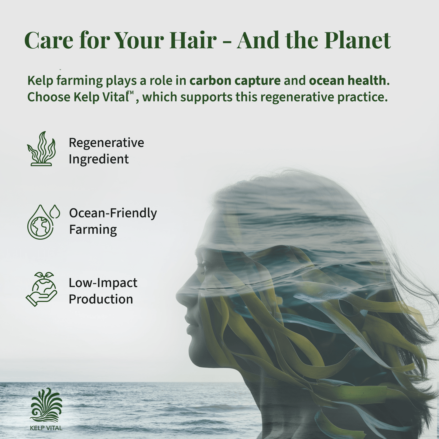 Kelp Vital Scalp Serum – Hair Growth Serum for Women & Men | Non-Greasy, Lightweight, Nourishing Formula for Thinning Hair