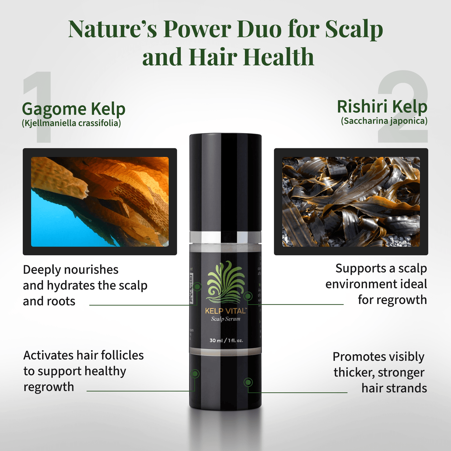 Kelp Vital Scalp Serum – Hair Growth Serum for Women & Men | Non-Greasy, Lightweight, Nourishing Formula for Thinning Hair