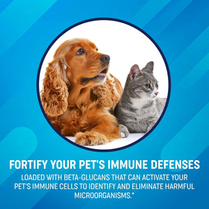 Fortify pet's Immune defenses with beta-glucans in Agaricus blazei Murill mushroom - Superfood Science
