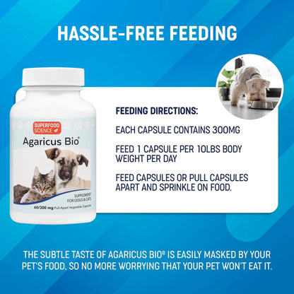 Hassle-free feeding Agaricus Bio 300 mg - Superfood Science
