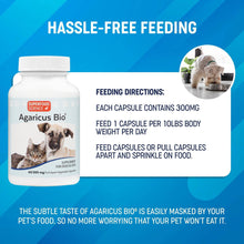 Cargar imagen en el visor de la galería, Hassle-free feeding Agaricus Bio 300 mg - Superfood Science