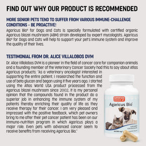 Veterinarians recommend Agaricus Bio 300 mg for dogs and cats - Superfood Science