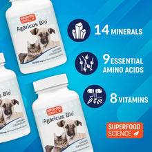 Load image into Gallery viewer, Natural vitamins, minerals, and amino acids - Superfood Science
