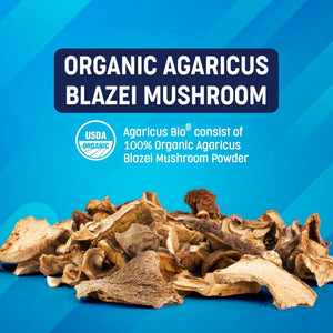 Agaricus blazei mushroom for cats - Superfood Science
