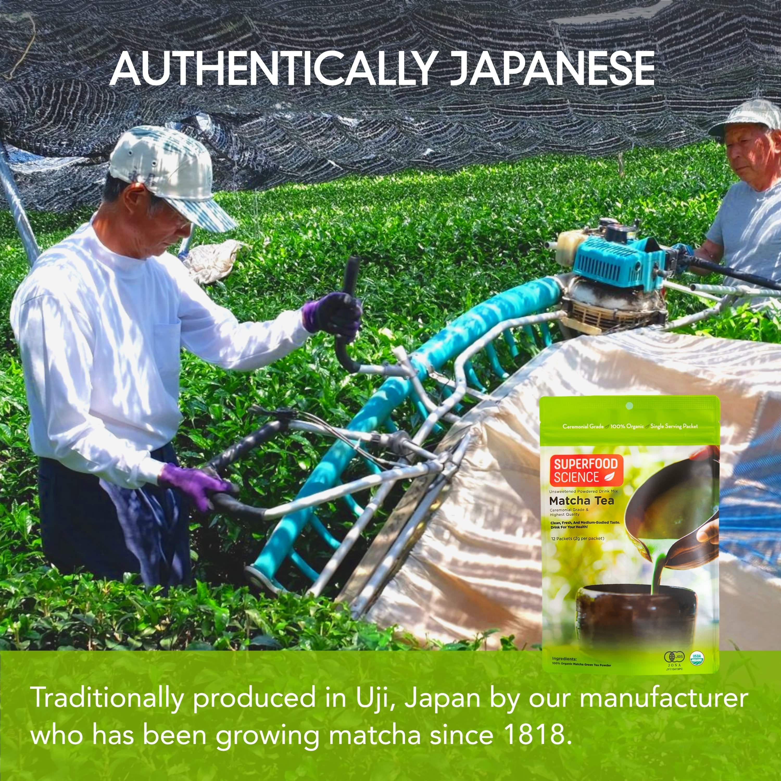 Organic Japanese Ceremonial Grade Matcha Tea Powder Packets | Superfood ...