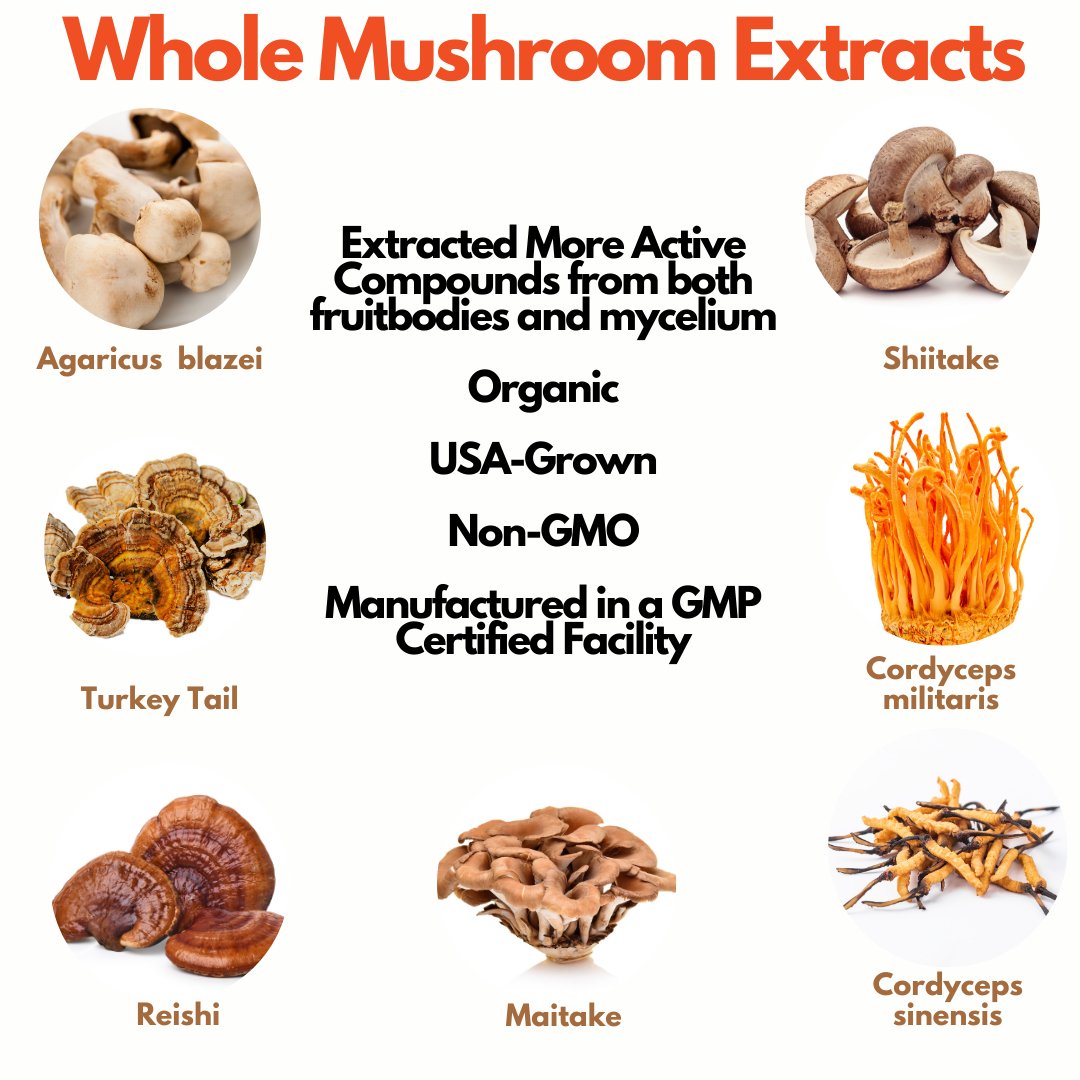 Mushroom Ekismate - Potent Mushroom Complex Formula - Superfood Science