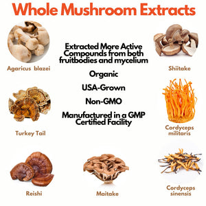 Mushroom Ekismate - Potent Mushroom Complex Formula - Superfood Science
