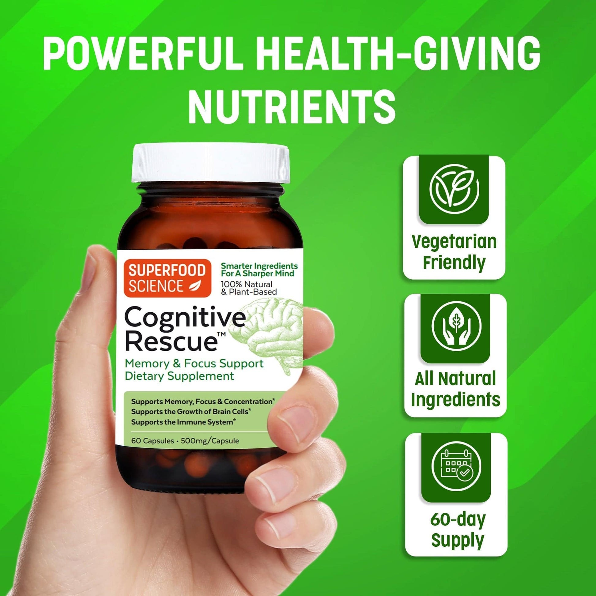 Cognitive Rescue™ Lion's Mane and Vitamin B Complex Supplement - Superfood Science