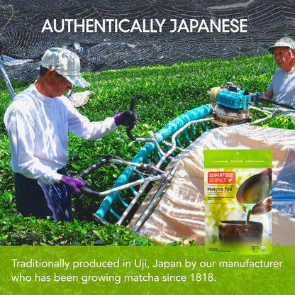 Organic Japanese Ceremonial Grade Matcha Tea Powder Packets (Wholesale) - Superfood Science
