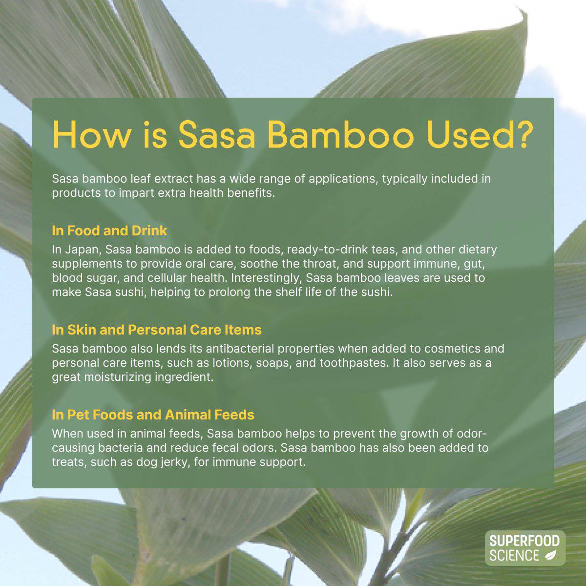 Sasa Bamboo Leaf Extract - Superfood Science